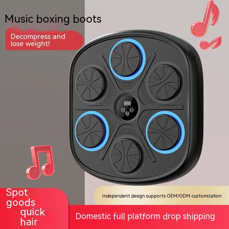 Music Boxing Training Wall Target