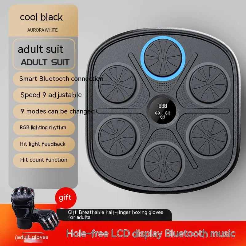 Music Boxing Training Wall Target