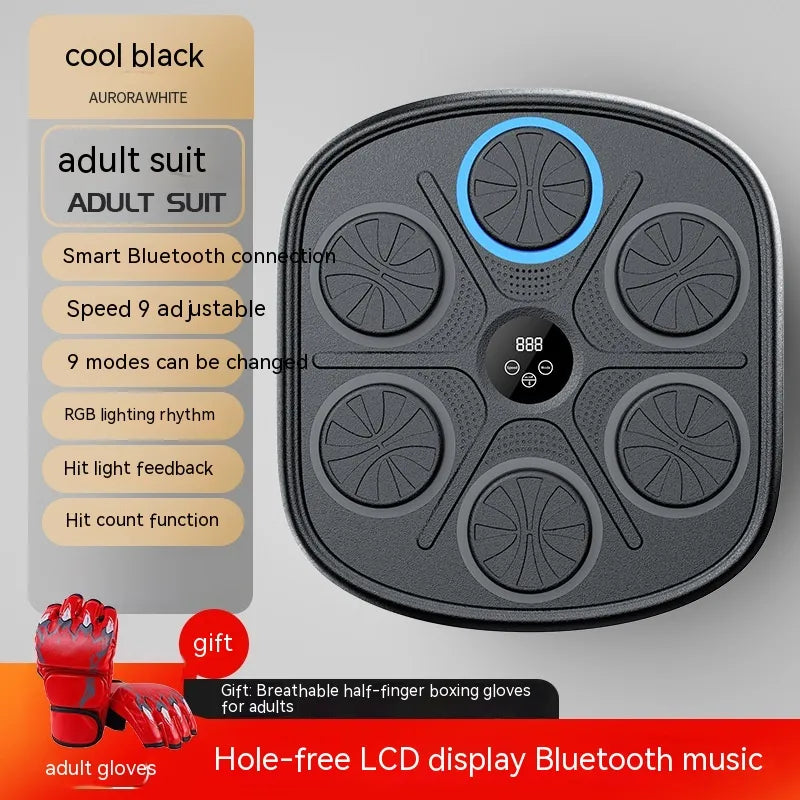Music Boxing Training Wall Target