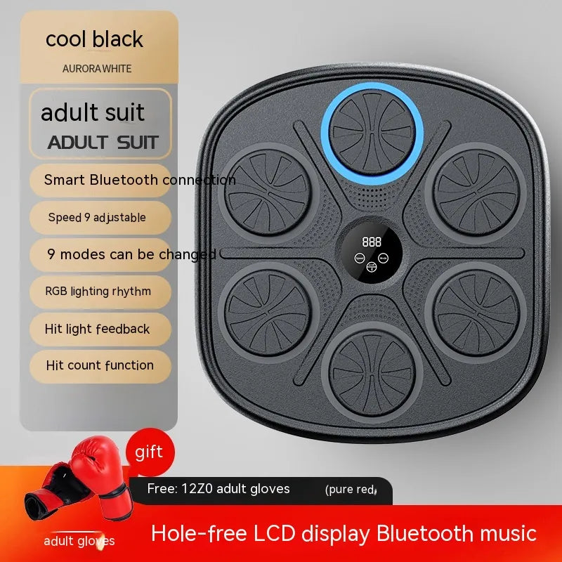 Music Boxing Training Wall Target