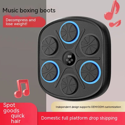 Music Boxing Training Wall Target