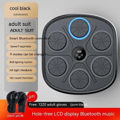 Music Boxing Training Wall Target