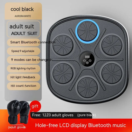 Music Boxing Training Wall Target