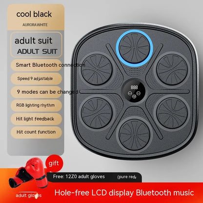 Music Boxing Training Wall Target