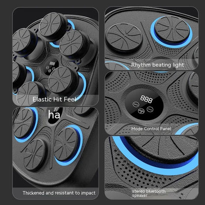 Music Boxing Training Wall Target